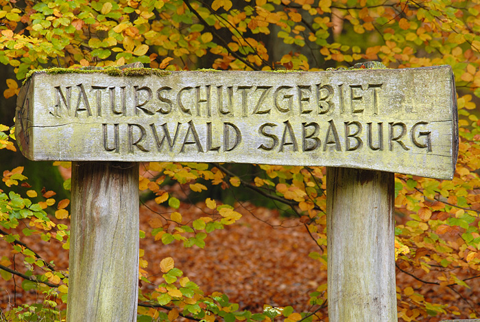 Urwald Sababurg